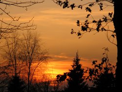 Sonnenuntergang im Leuengarten